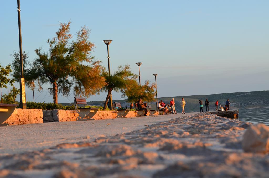Apartments Dalmacija Starigrad Paklenica Εξωτερικό φωτογραφία